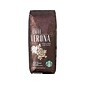 Starbucks Caffè Verona Beans Coffee, Dark Roast, 16 oz. (11017871)