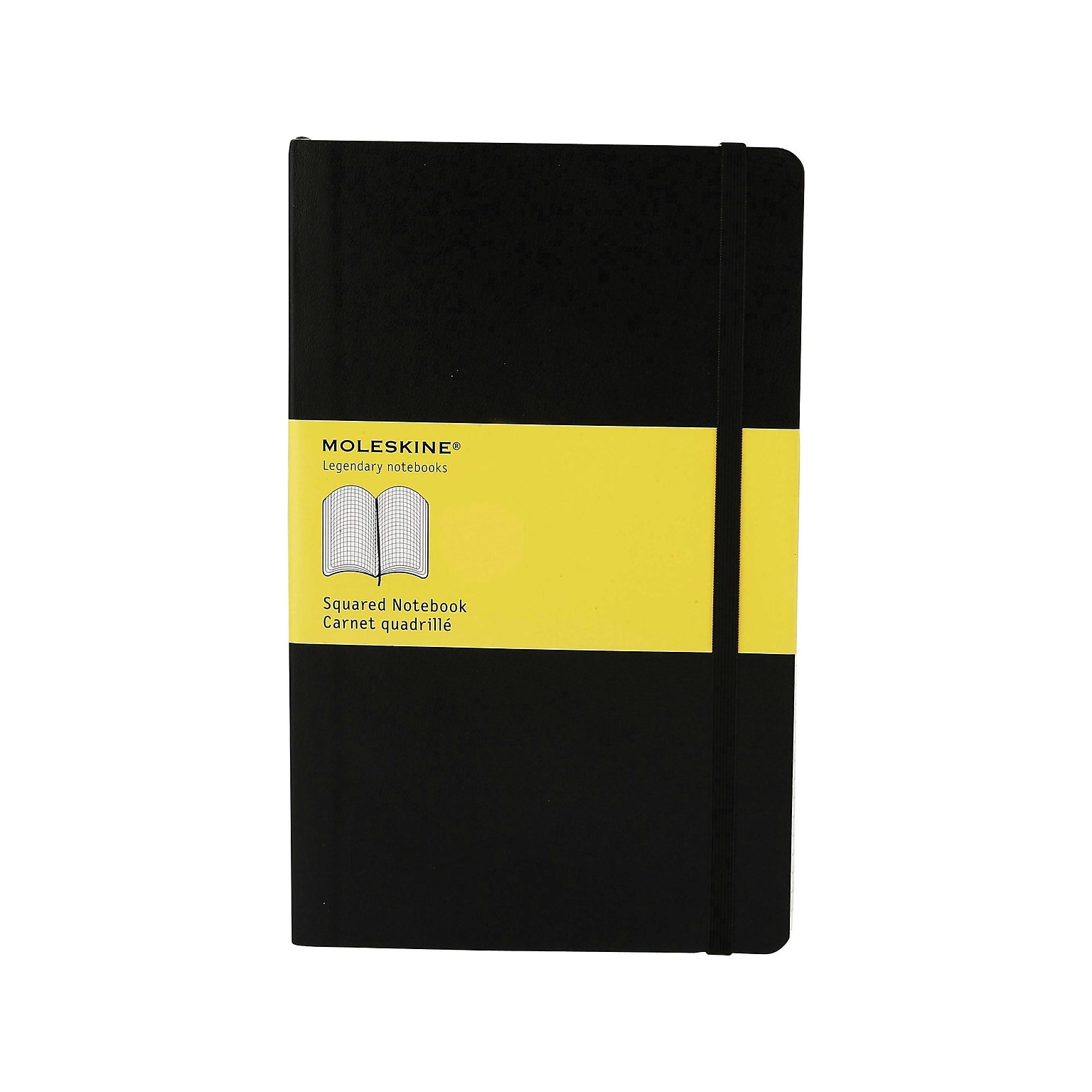 Moleskine Professional Notebooks, 5 x 8.25, Quad, 120 Sheets, Black (701139)