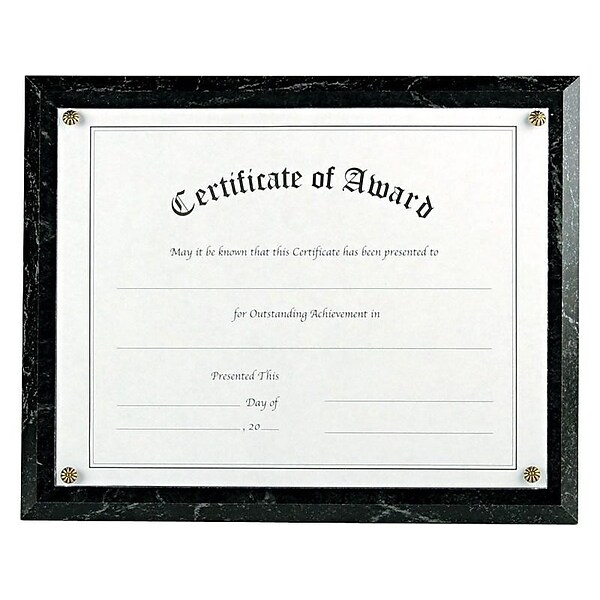 NuDell Economical Award Plaque Plastic Certificate Frame, Black (18815M)
