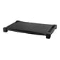 Kantek Monitor Stand, Black (MS500)