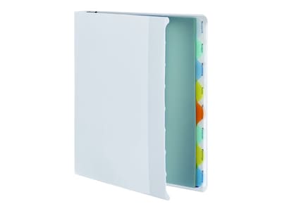 Wilson Jones View-Tab 1 3-Ring View Binders, White (W55094)