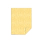 Southworth Parchment Specialty Multipurpose Paper, 24 lbs., 8.5" x 11", Gold, 100/Box (P994CK)