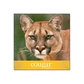 Domtar Cougar Digital 10% Recycled 8.5 x 11 Paper, 80 lbs., 98 Brightness, 250/Ream, 8 Reams/Carton (2986)