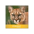 Domtar Cougar Digital 10% Recycled 8.5 x 11 Business Paper, 70 lbs., 98 Brightness, 4000/Carton (2