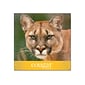 Domtar Cougar Digital 10% Recycled 8.5 x 11 Paper, 80 lbs., 98 Brightness, 250/Ream, 8 Reams/Carto