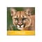 Domtar Cougar Digital 10% Recycled 8.5 x 11 Business Paper, 70 lbs., 98 Brightness, 4000/Carton (2