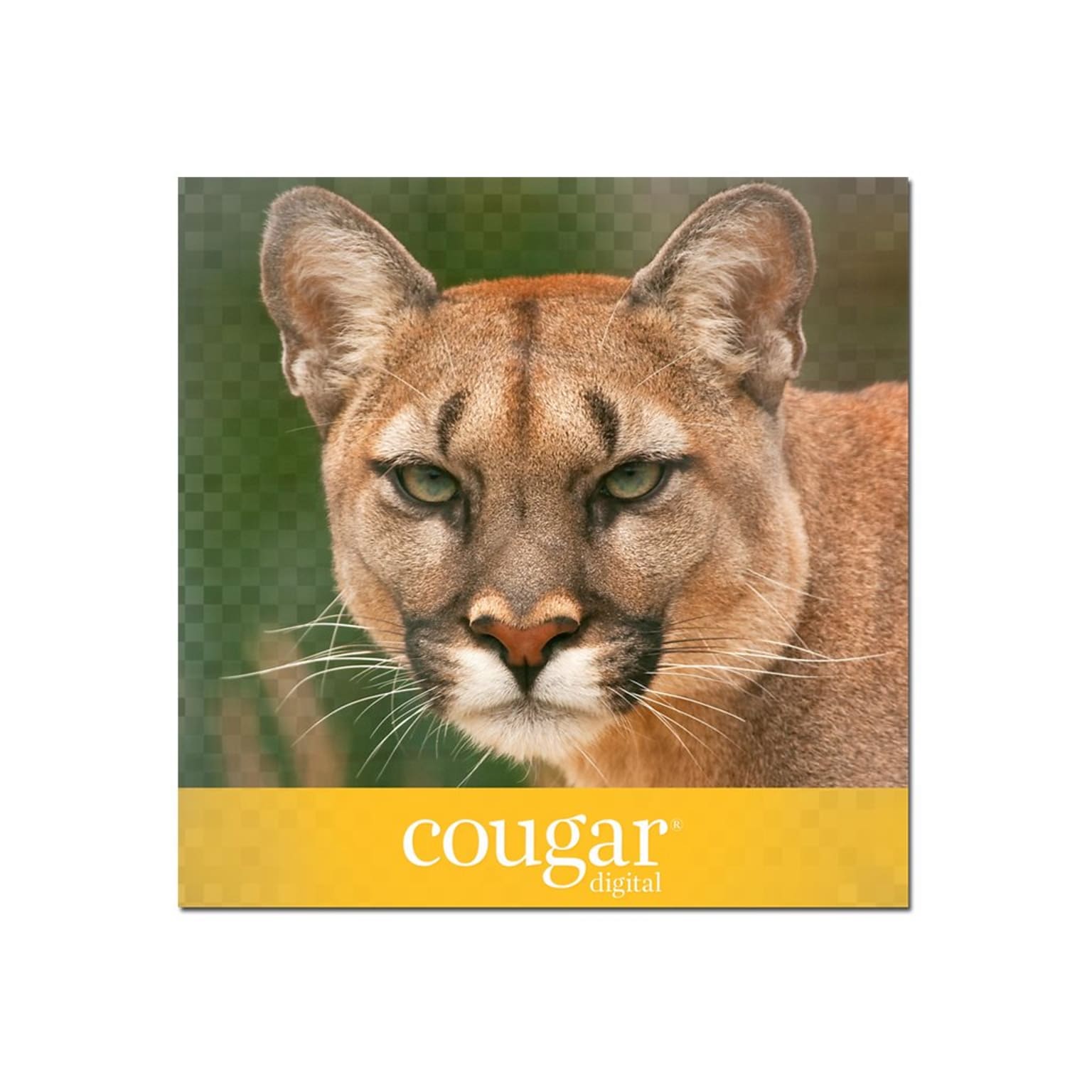 Domtar Cougar Digital 10% Recycled 8.5 x 11 Laser Paper, 70 lbs., 98 Brightness, 500/Ream (2826)