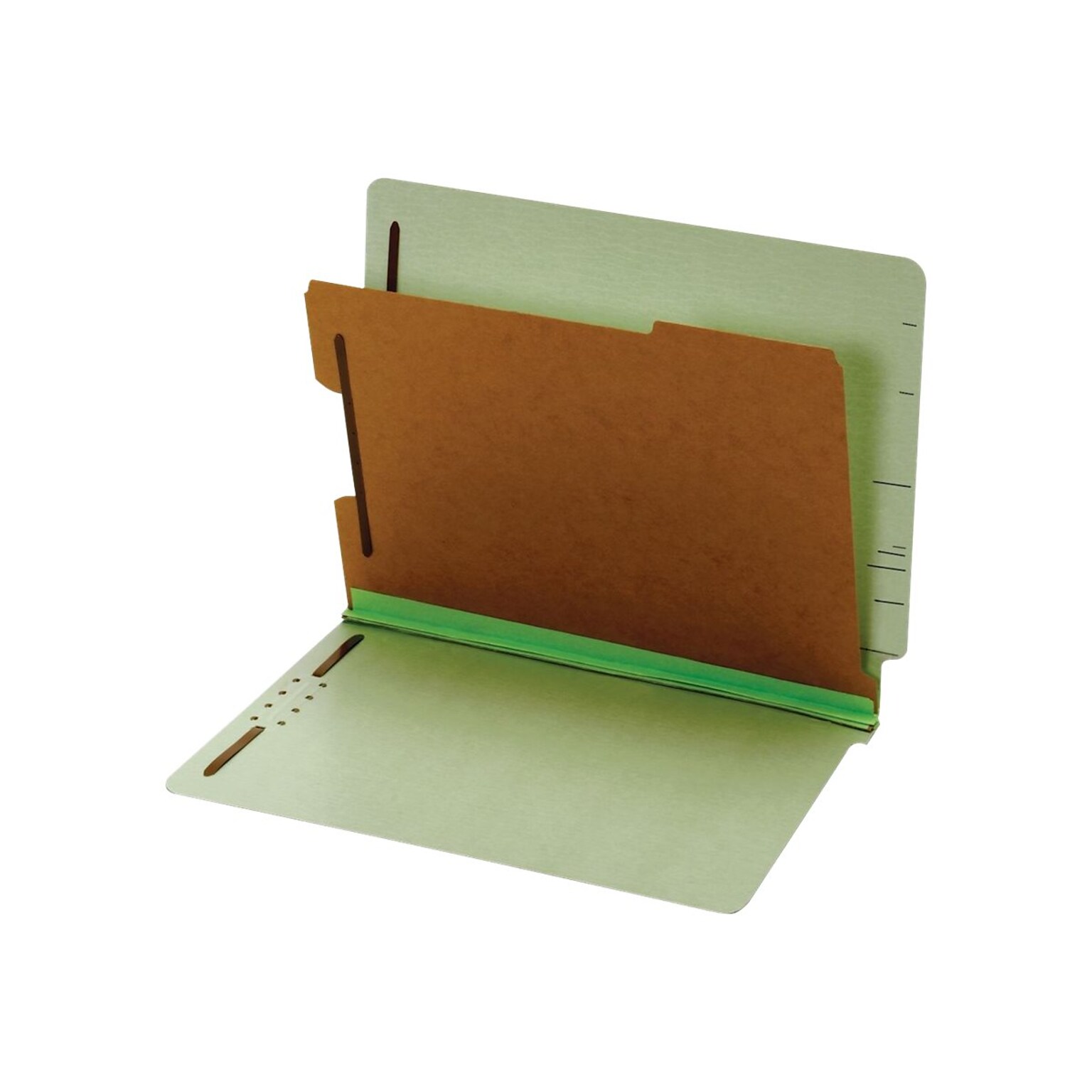 Pendaflex End-Tab Classification Folders, Letter Size, 1-Partition, Light Green, 10/Box (PFX 23214)