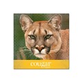 Domtar Cougar Digital 80 lb. Cover Paper, 11 x 17, White, 250 Sheets/Pack (2868)