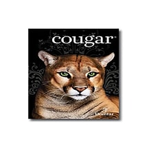 Domtar Cougar Digital 10% Recycled 8.5 x 11 Business Paper, 70 lbs., 98 Brightness, 4000/Carton (2