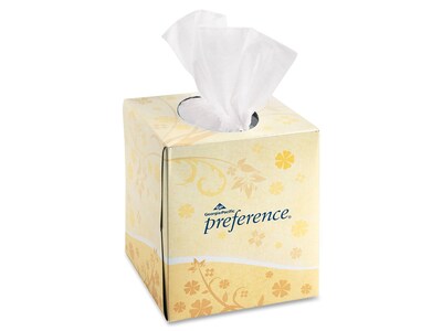 Preference Standard Facial Tissue, 2-Ply, 100 Sheets/Box, 36 Boxes/Pack (46200)