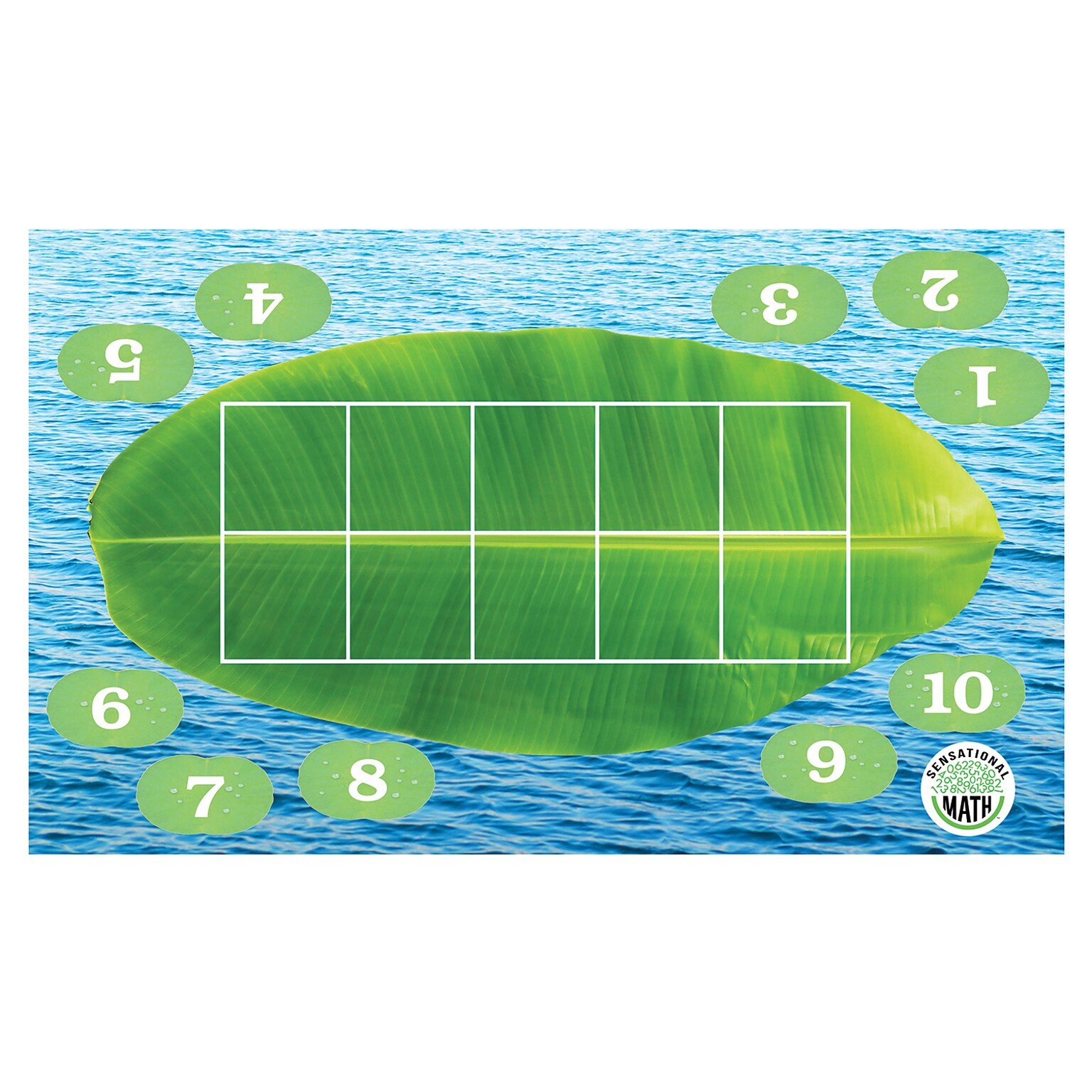 Essential Learning Sensational Math™ Froggy Ten-Frame Floor Mat Set, Set of 12 (ELP626673)