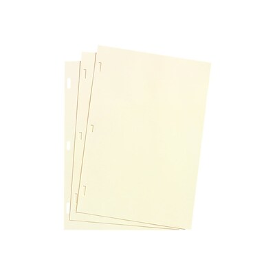 Wilson Jones Plain Ledger Sheets, Unruled, Ivory, 100 Sheets/Box (W901-10)