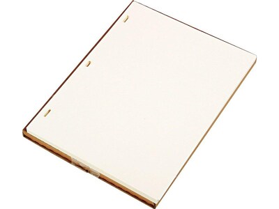 Wilson Jones Ledger Paper, 8.5" x 11", Ivory, 100 Sheets/Box (W901-10)