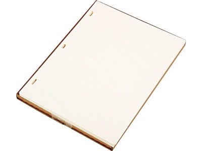 Wilson Jones Ledger Paper, 8.5 x 11, Ivory, 100 Sheets/Box (W901-10)