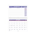 2018-2019 Academic AT-A-GLANCE 8H x 11W Wall Calendar, Plan-A-Month, White (SK161619)