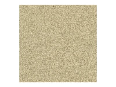 Ghent Vinyl Enclosed Bulletin Board, Satin Frame, 3H x 2W (PA13624VX-181)