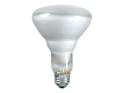 Philips 65 Watts Frosted Incandescent Bulb, 12/Carton (248765)