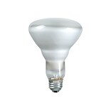 Philips 65 Watts Frosted Incandescent Bulb, 12/Carton (248765)
