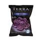 Terra Blues Chips, Sea Salt, 1 Oz., 24/Box (209-02474)