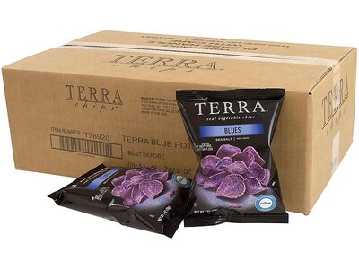 Terra Sea Salt Vegetable Chips, 1 oz., 24 Bags/Pack (209-02474)