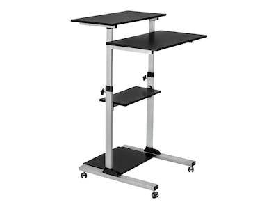 Mount-It! 27.5 W Mobile Height Adjustable Desk, Silver, Plastic/Steel (MI-7940)