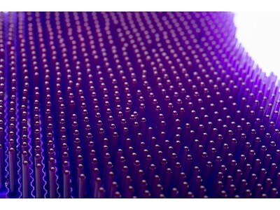 Diversey Ekcoscreen Urinal Screen, Berry, 12/Carton (EKS-1P-12)