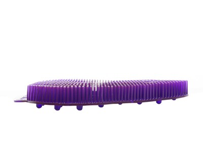 Diversey Ekcoscreen Urinal Screen, Berry, 12/Carton (EKS-1P-12)