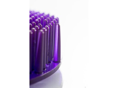 Diversey Ekcoscreen Urinal Screen, Berry, 12/Carton (EKS-1P-12)