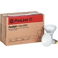 GE Lighting ProLine 65 Watts Soft White Incandescent Bulb, 6/Carton (24705)