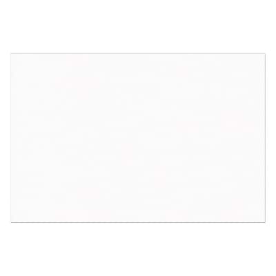 Prang (Formerly SunWorks) Construction Paper White 12 x 18 50 Sheets