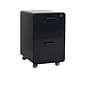 Poppin Stow 2-Drawer Mobile Vertical File Cabinet, Letter/Legal Size, Lockable, 25"H x 15.75"W x 20"D, Black (103107)