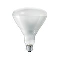 Philips 65 Watts Clear Incandescent Bulb, 12/Carton (140087)