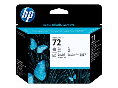 HP 72 Gray/Photo Black Printhead (C9380A)