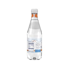 Acqua Panna Natural Spring Water, 16.9 Oz., 24/Carton (12117620)