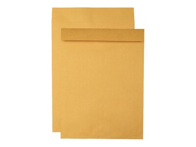 Quality Park Open End Catalog Envelopes, 15" x 20", Brown Kraft, 25/Box (QUA42355)