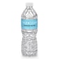True Clear™ Purified Bottled Water, 16.9 fl. oz. Bottles, 24/Carton (TC54594)