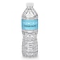 True Clear™ Purified Bottled Water, 16.9 fl oz Bottles, 24/Carton, 84 Cartons/Pallet (TC54594PL)