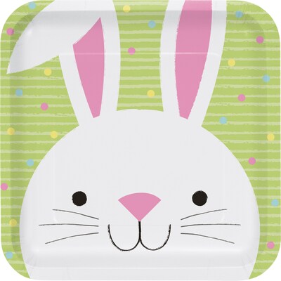 Creative Converting Easter Bunny & Chick Paper Plates, 24 Count (DTC335295DPLT)