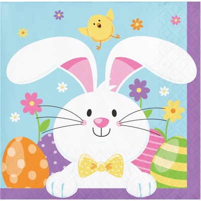 Creative Converting Easter Bunny Beverage Napkins, 48 Count (DTC335269BNAP)