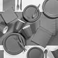 Creative Converting Glamour Gray Party Supplies Kit (DTC4557E2A)