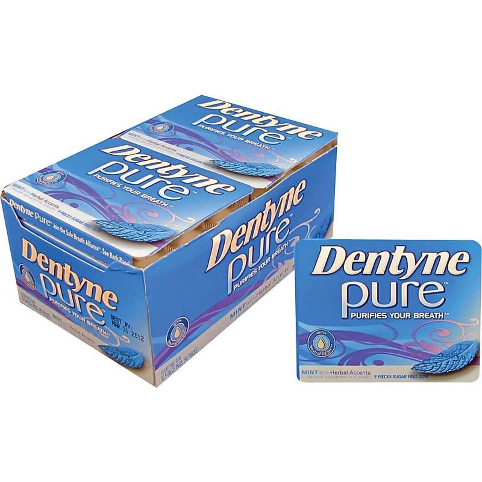 Dentyne Pure Sugar Free Mint With Herbal Accents Gum, 10 Packs/Box (VAM05102)