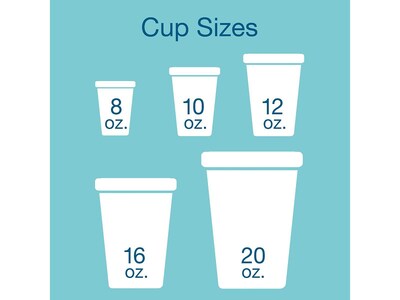 Dart Cold Cups, 16 Oz., White, 500/Carton (16J165)