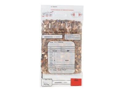 MMF Industries Deposit Bag, Clear 100/Box (2310421DBL20)