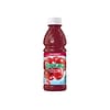 Tropicana Cranberry Juice, 10 oz., 24/Carton (TRO000838)