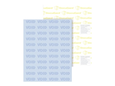 Paris DocuGard Standard 8.5" x 11" Medical Security Paper, 24 lbs., Blue, 500 Sheets/Ream (PRB04541)