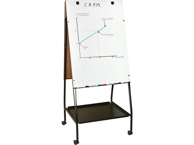 Best-Rite Wheasel Dry/Wet Erase Easel, 65, Steel (770)