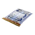 20 x 28 TripLOK Tamper-Evident Bags, Clear, 50/Pack