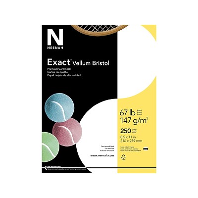 Exact Vellum Bristol Vellum Bristol 67 lb. Cardstock Paper, 8.5 x 11, White, 250 Sheets/Pack (80218 / 81318)