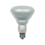 GE 65 Watts Soft White Incandescent Bulb (20331)